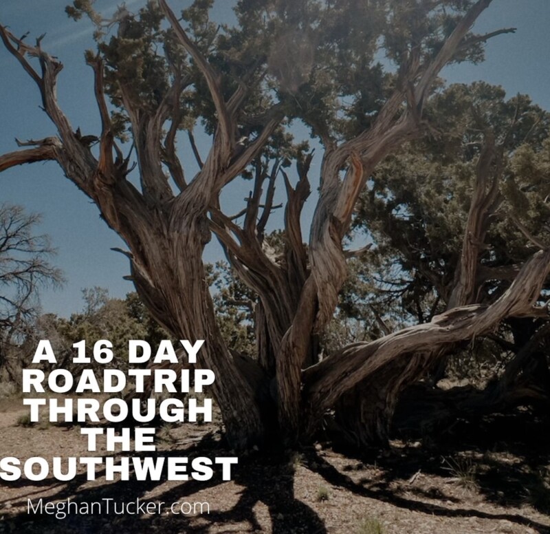 A 16 Day Southwest Road Trip