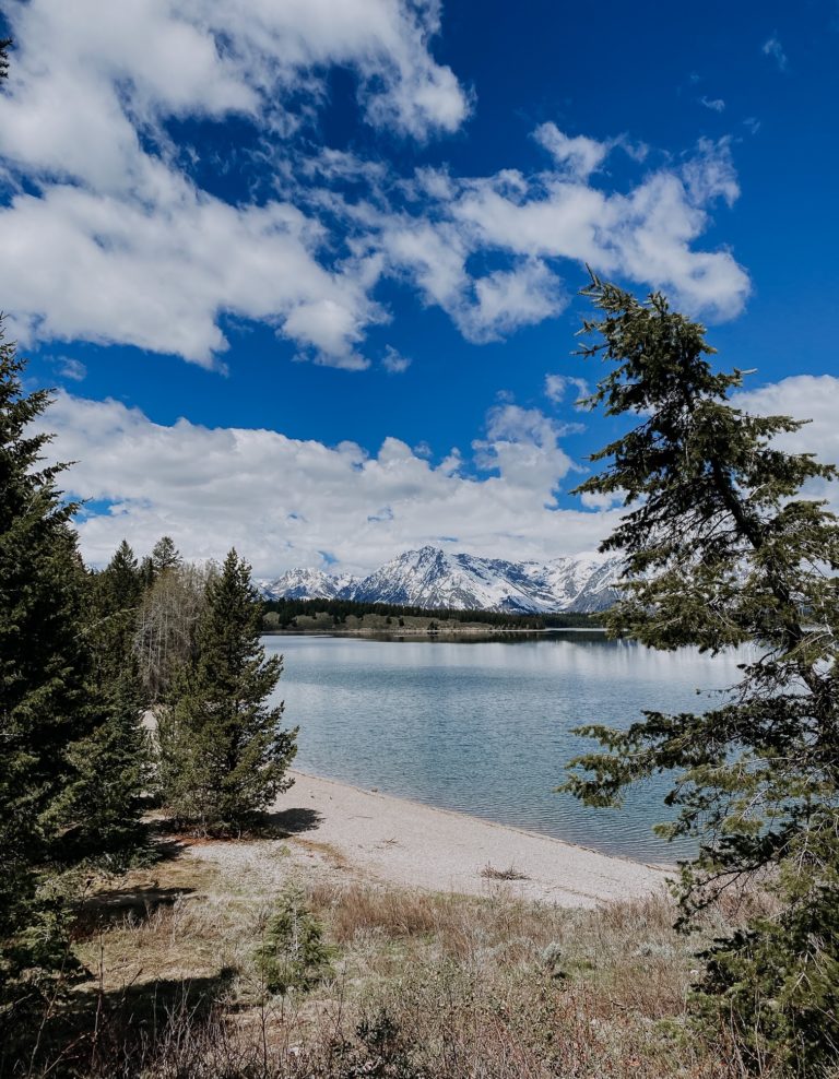 16 Day Family Road Trip: Nashville to Jackson, Wyoming - Meghan Tucker